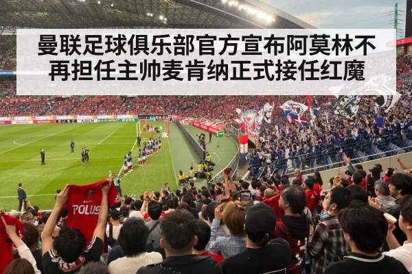 football stadium fans